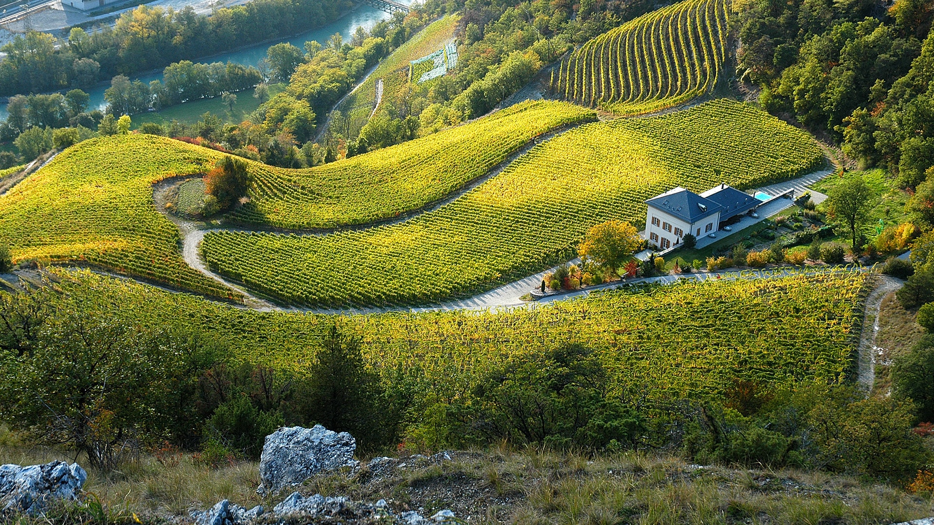 domaine-chateau-lichten