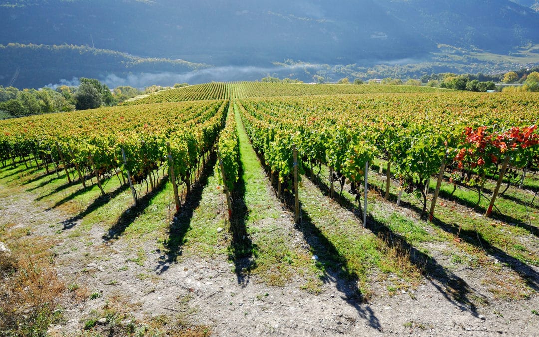 Domaine creta plan
