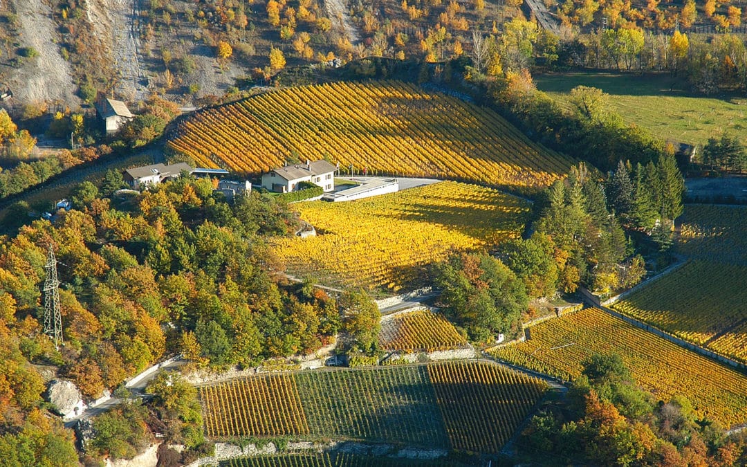 Domaine Géronde