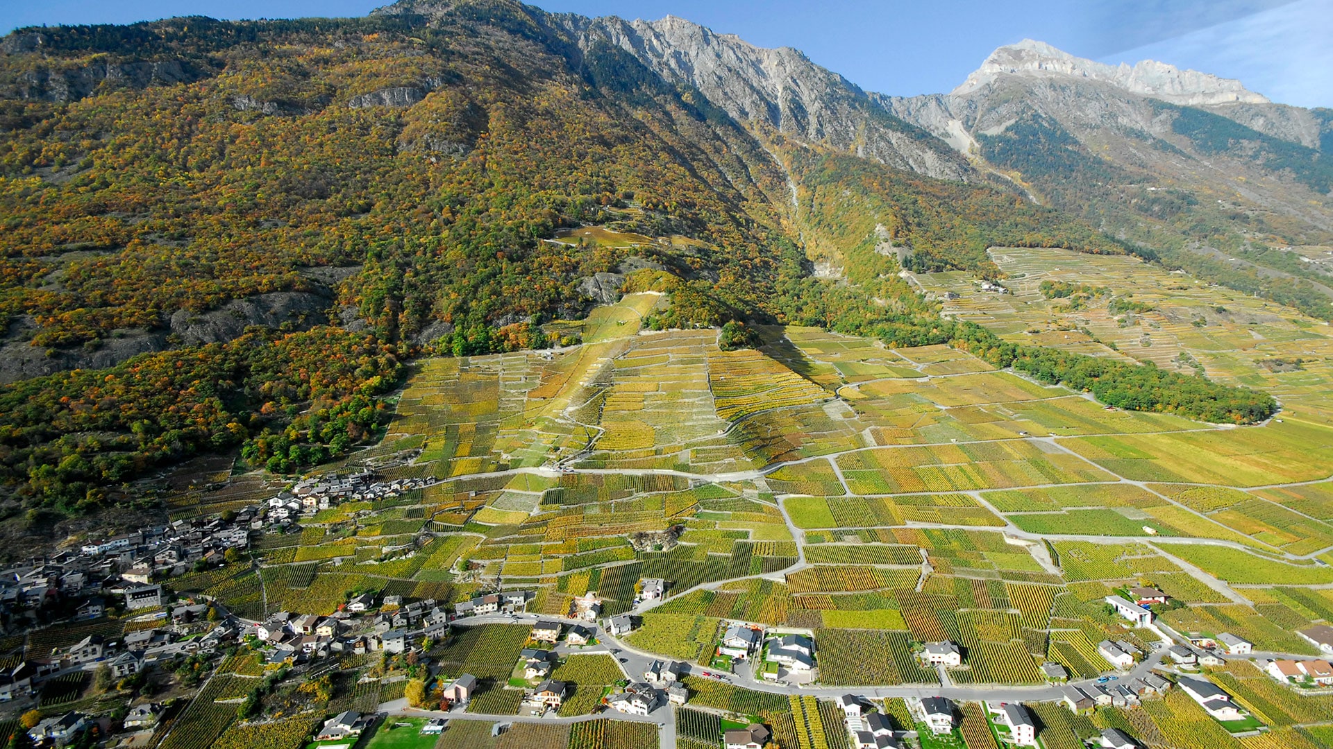 Domaine Les Seilles