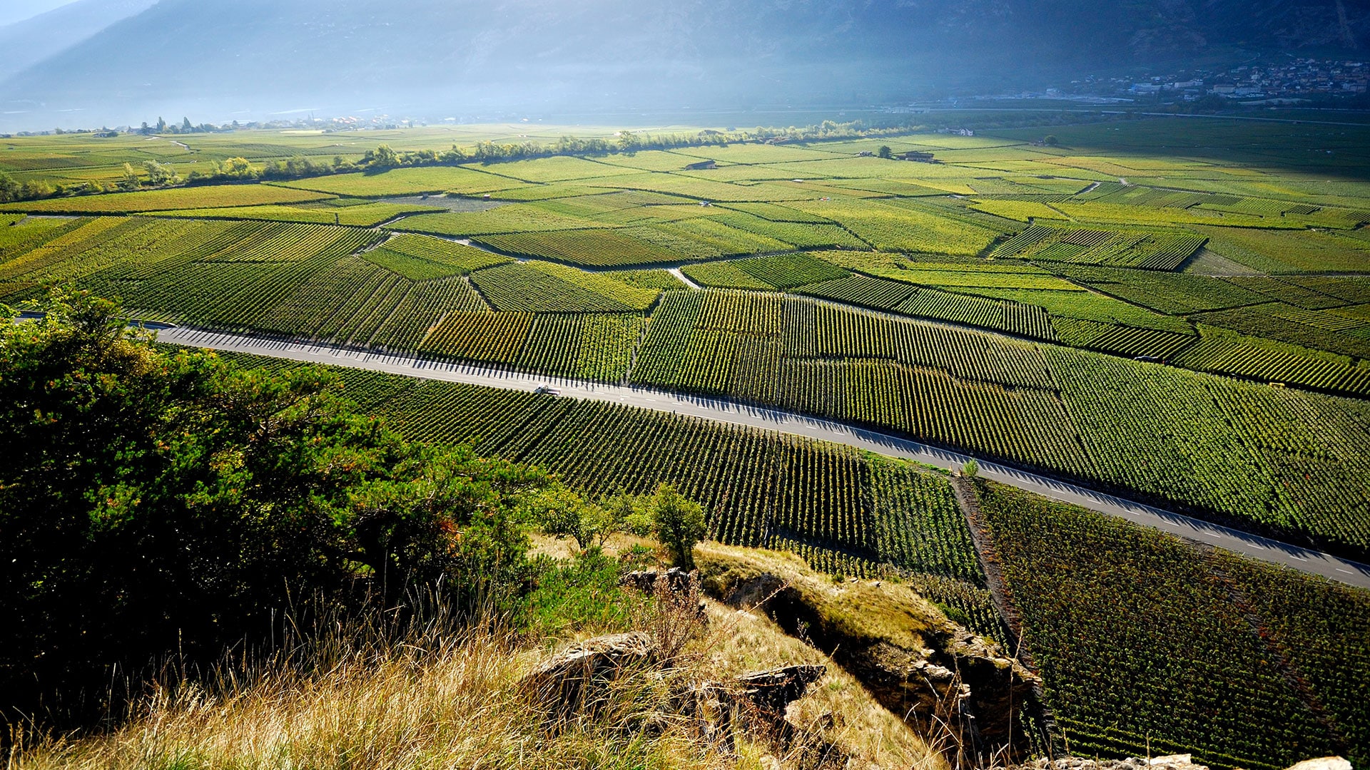 Domaine Clos de Montibeux