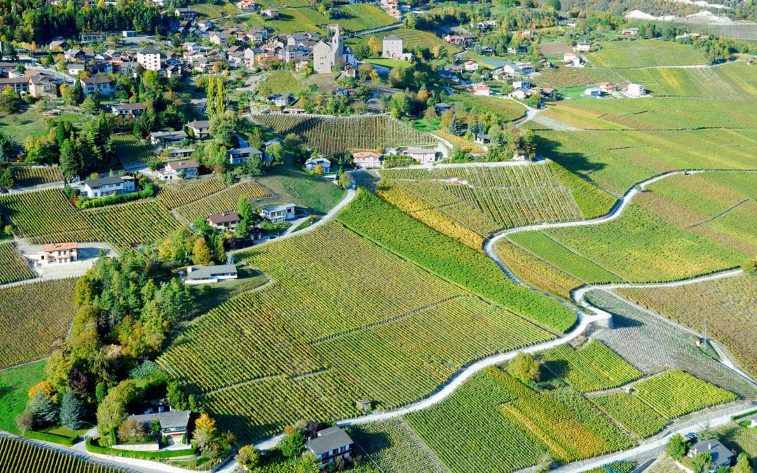 Domaine Noble-Contrée