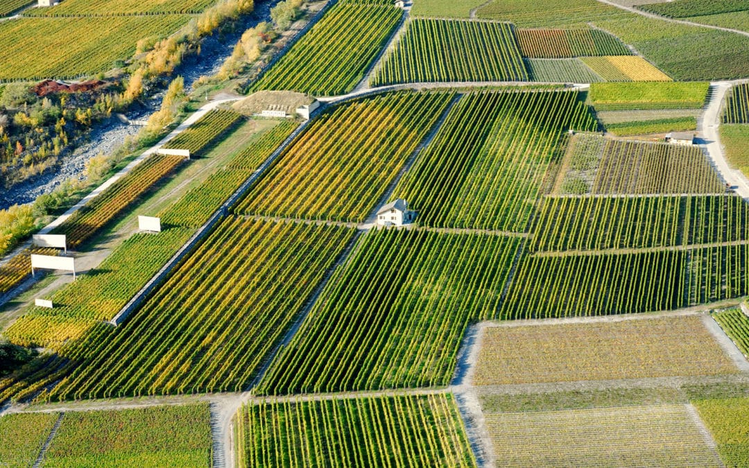 Domaine ravanay