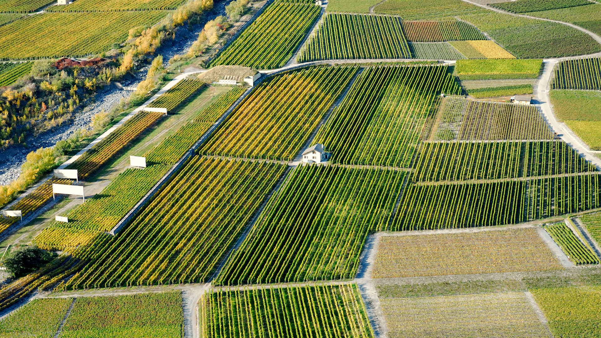 Domaine Ravanay